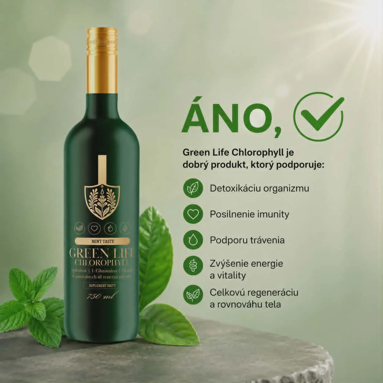 Chlorofyl PBI – tekutý výživový doplnok na podporu vitality 750ml